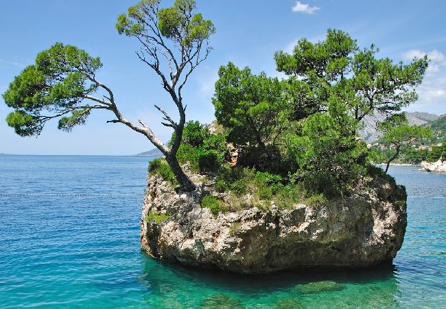 Ferienwohnung in Podgora - Ferienwohnung in Podgora mit Meerblick, Loggia, Klimaanlage, W-LAN (134-1) Ferienwohnung in Podgora - Ferienwohnung in Podgora mit Meerblick, Loggia, Klimaanlage, W-LAN (134-1)