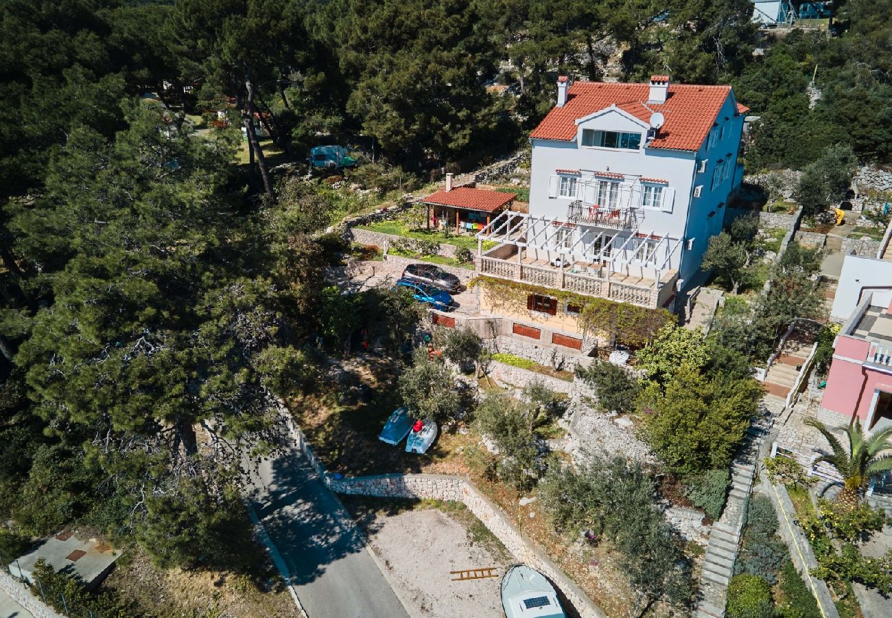 Ferienwohnung in Mali Lošinj - Ferienwohnung in Mali Lošinj mit Meerblick, Terrasse, Klimaanlage, W-LAN (137-1)