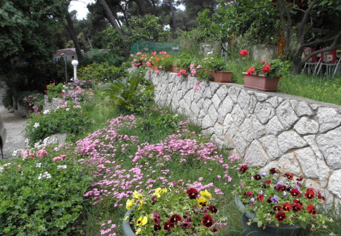 Ferienwohnung in Mali Lošinj - Ferienwohnung in Mali Lošinj mit Meerblick, Terrasse, Klimaanlage, W-LAN (137-2)