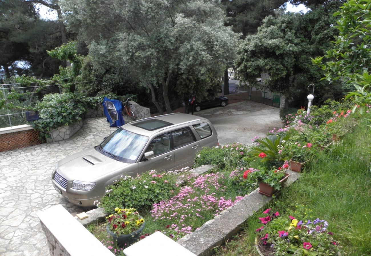 Ferienwohnung in Mali Lošinj - Ferienwohnung in Mali Lošinj mit Meerblick, Terrasse, Klimaanlage, W-LAN (137-2)