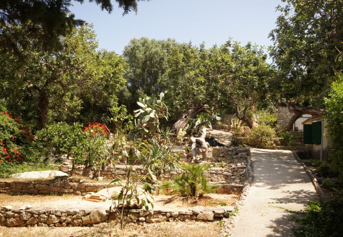 Ferienhaus in Vis - Ferienhaus in Vis mit Terrasse, Klimaanlage, Spülmaschine (139-1)