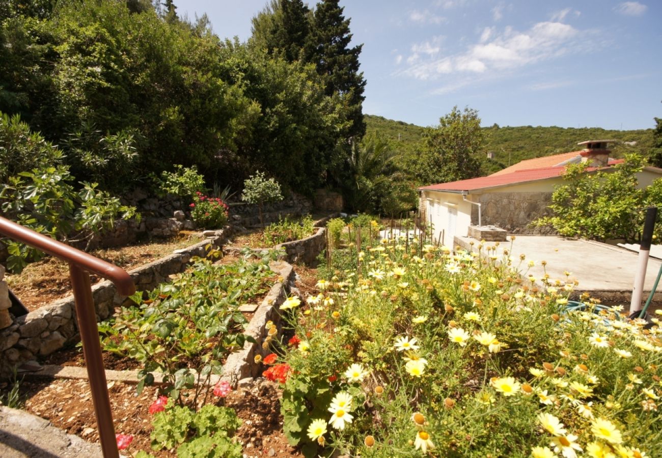 Ferienhaus in Vis - Ferienhaus in Vis mit Terrasse, Klimaanlage, Spülmaschine (139-1)