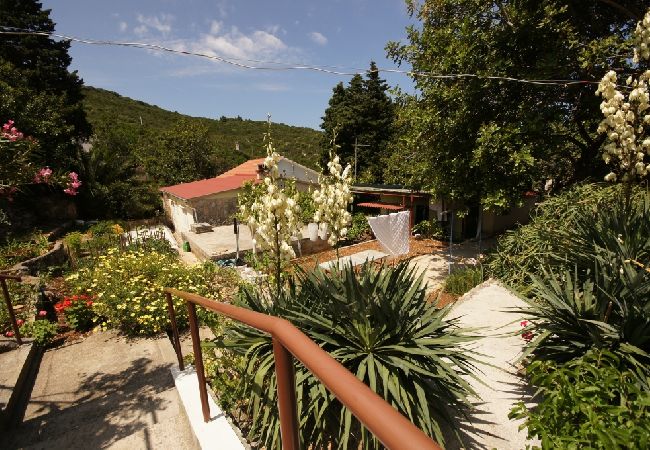 Ferienhaus in Vis - Ferienhaus in Vis mit Terrasse, Klimaanlage, Spülmaschine (139-3) Ferienhaus in Vis - Ferienhaus in Vis mit Terrasse, Klimaanlage, Spülmaschine (139-3)