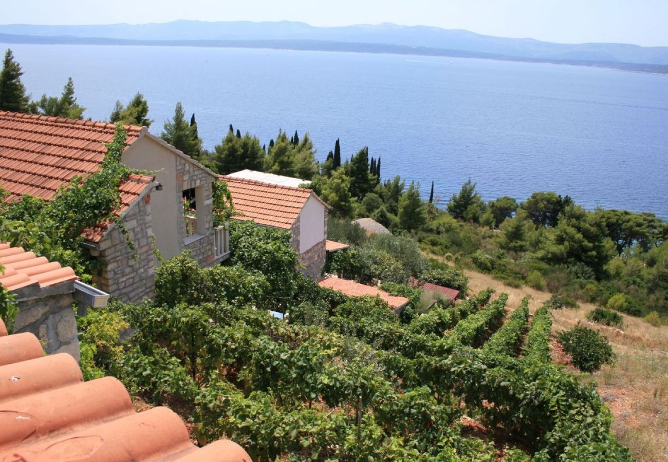 Ferienhaus in Murvica - Ferienhaus in Murvica mit Meerblick, Terrasse, Klimaanlage, W-LAN (146-1)