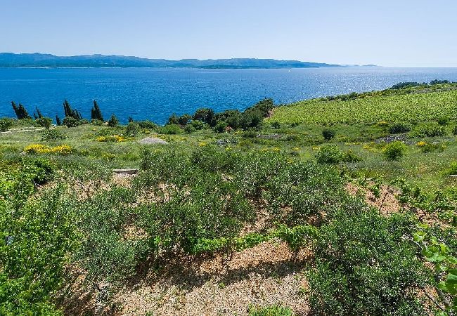 Ferienwohnung in Murvica - Ferienwohnung in Murvica mit Meerblick, Terrasse, Klimaanlage, W-LAN (146-3) Ferienwohnung in Murvica - Ferienwohnung in Murvica mit Meerblick, Terrasse, Klimaanlage, W-LAN (146-3)