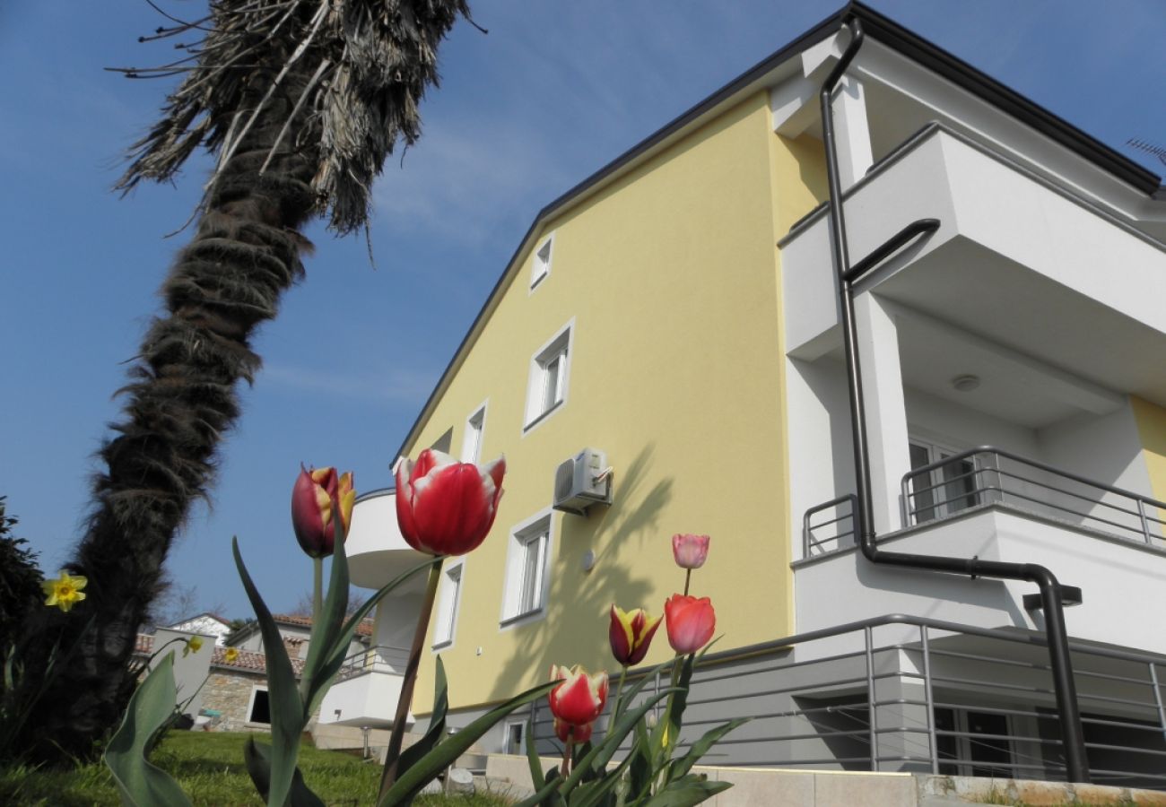 Ferienwohnung in Zambratija - Ferienwohnung in Zambratija mit Meerblick, Balkon, Klimaanlage, W-LAN (158-1)