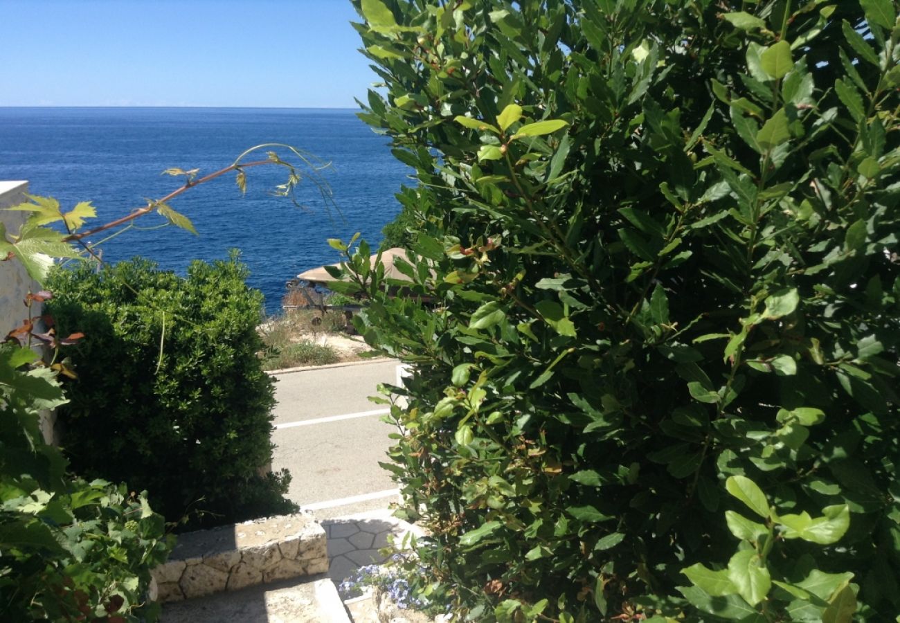 Studio in Hvar - Studioapartment in Hvar-Stadt mit Meerblick, Terrasse, Klimaanlage, W-LAN (199-1)