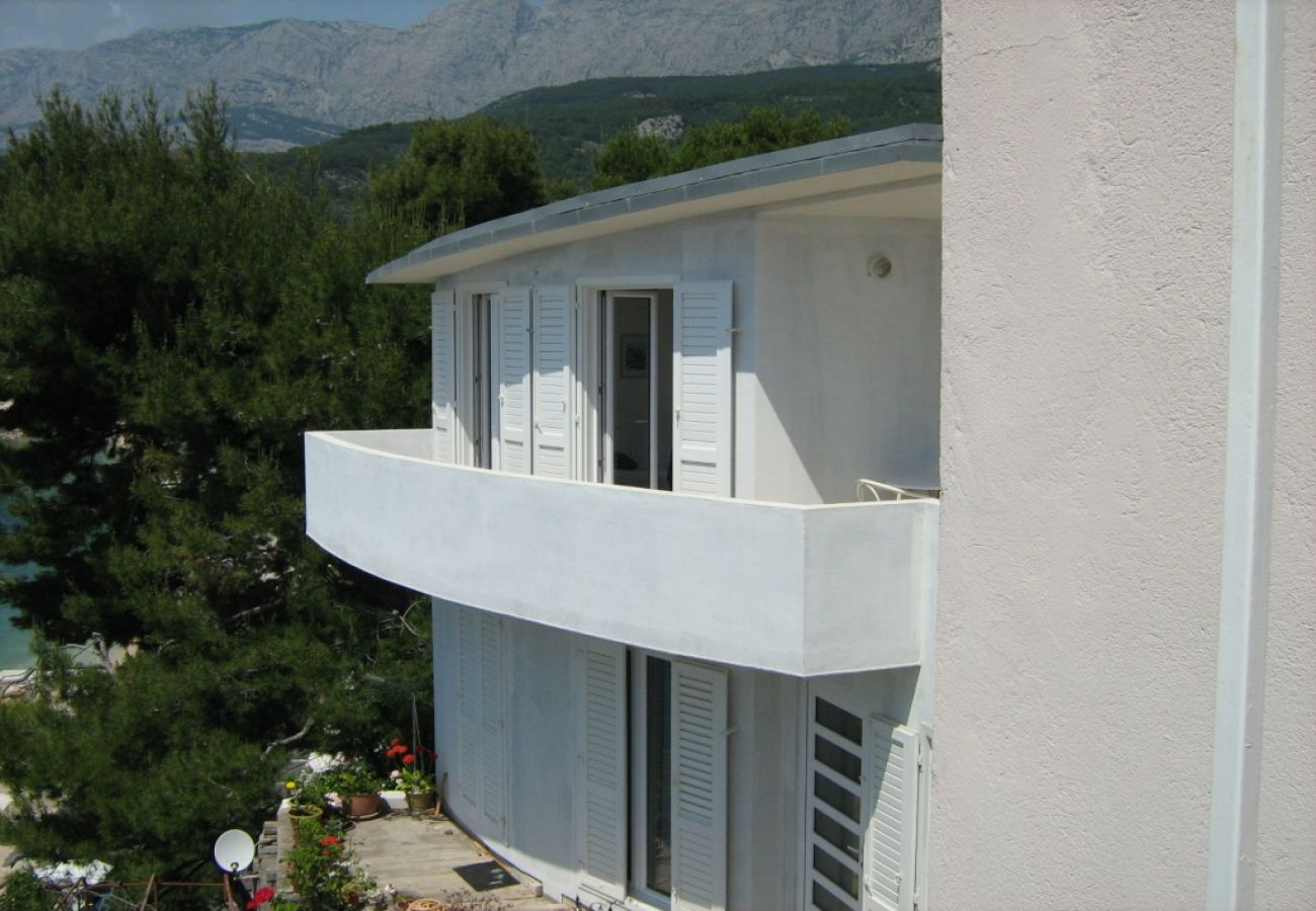 Ferienwohnung in Podgora - Ferienwohnung in Podgora mit Meerblick, Terrasse, W-LAN, Waschmaschine (205-1)