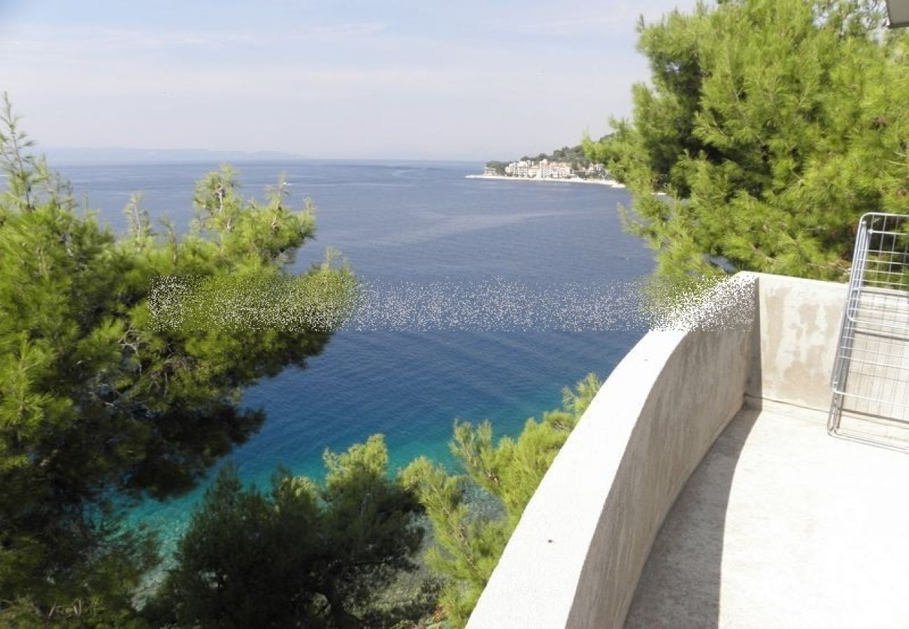 Ferienwohnung in Podgora - Ferienwohnung in Podgora mit Meerblick, Terrasse, Klimaanlage, W-LAN (205-2)