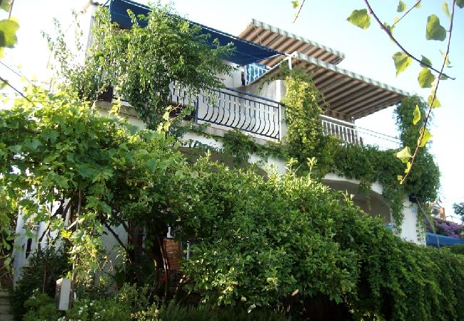 Ferienwohnung in Seget Vranjica - Ferienwohnung in Seget Vranjica mit Meerblick, Balkon, Klimaanlage, W-LAN (215-1) Ferienwohnung in Seget Vranjica - Ferienwohnung in Seget Vranjica mit Meerblick, Balkon, Klimaanlage, W-LAN (215-1)