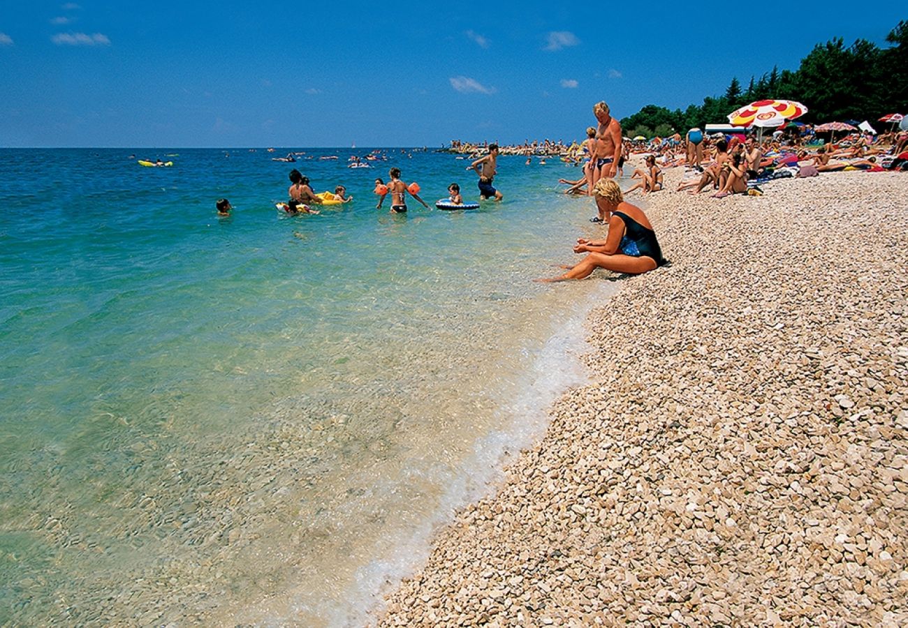 Ferienwohnung in Porec - Ferienwohnung in Poreč mit Balkon, Klimaanlage, W-LAN (228-1)