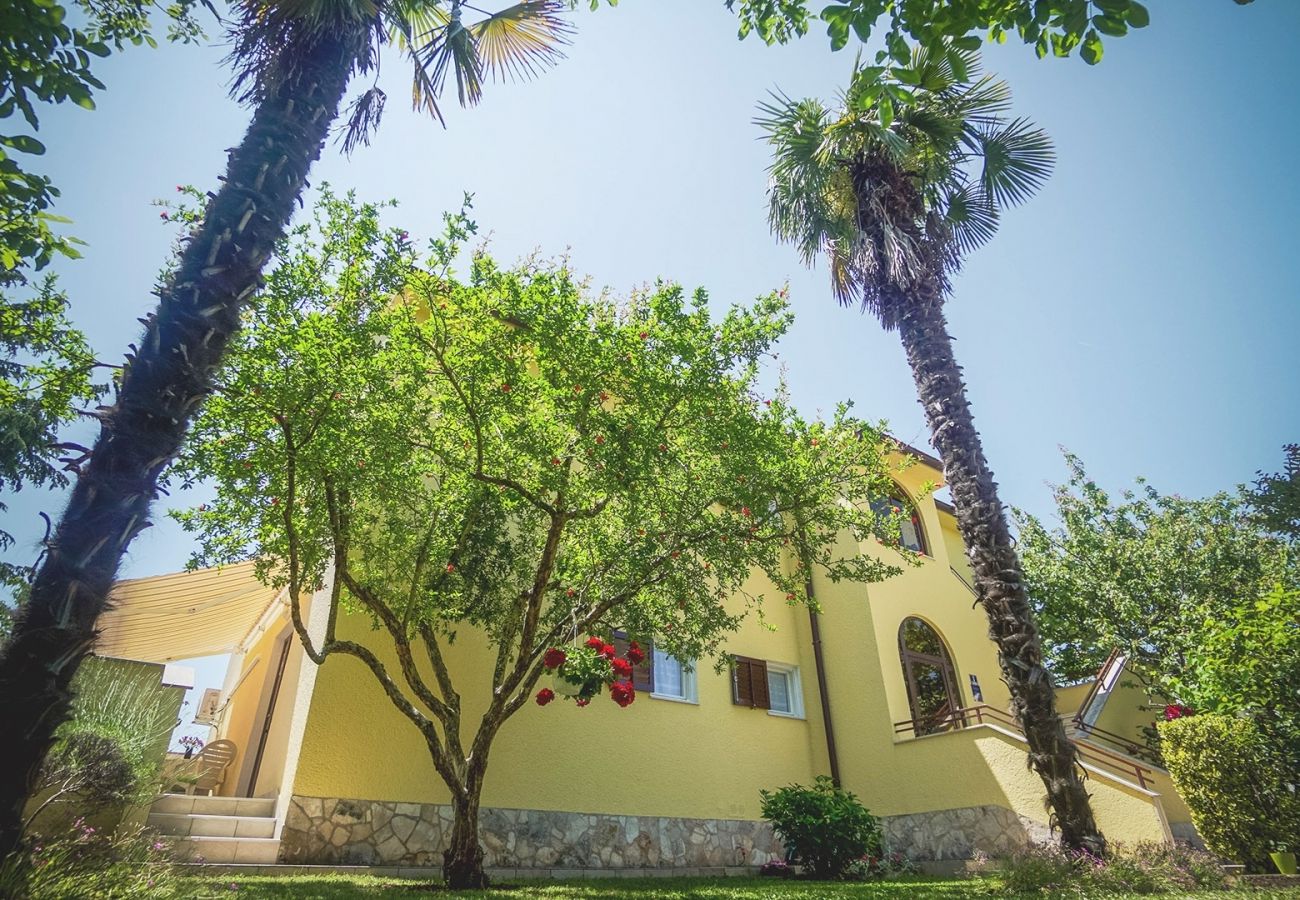 Ferienwohnung in Porec - Ferienwohnung in Poreč mit Balkon, Klimaanlage, W-LAN (228-1)