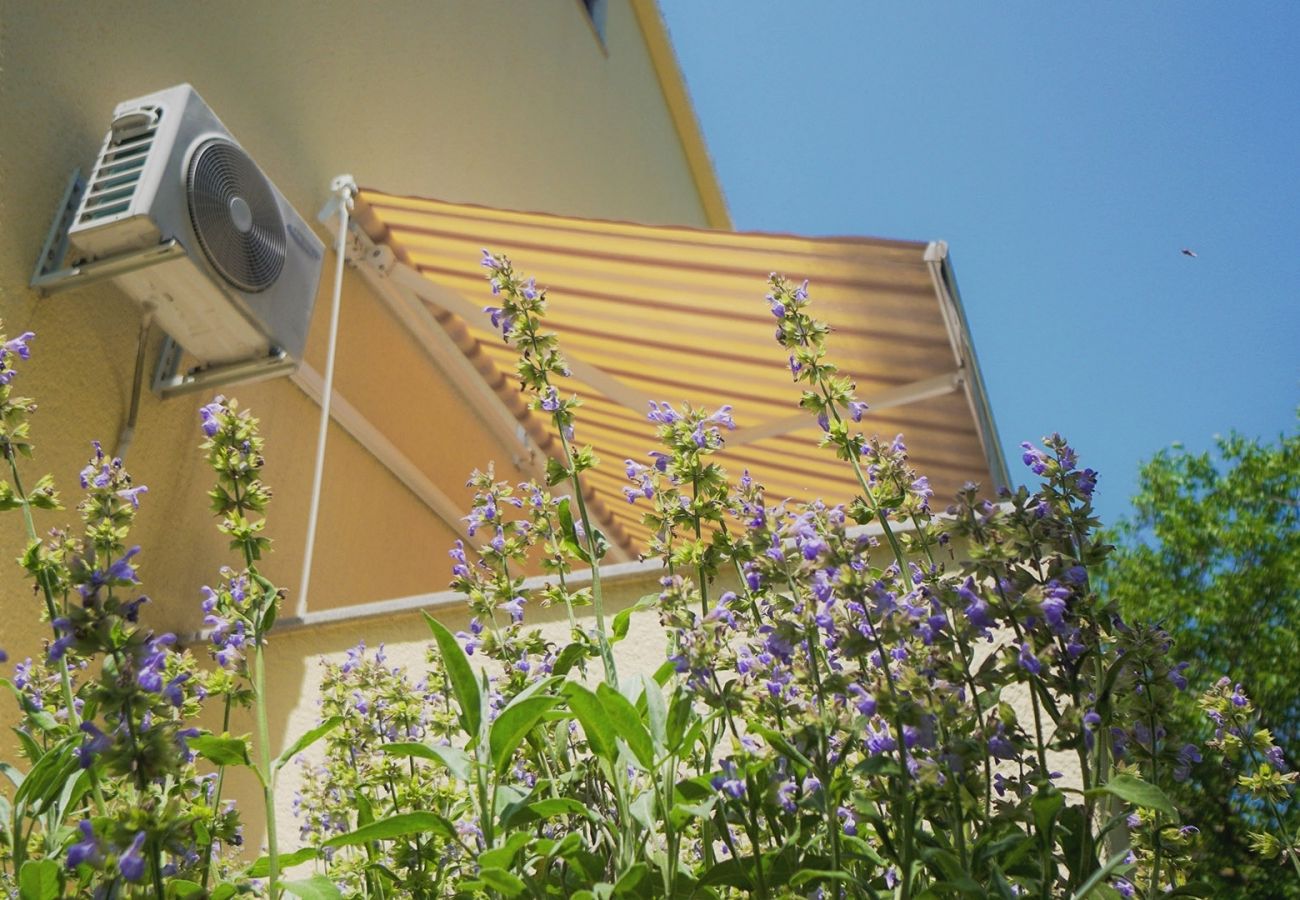 Ferienwohnung in Porec - Ferienwohnung in Poreč mit Balkon, Klimaanlage, W-LAN (228-1)