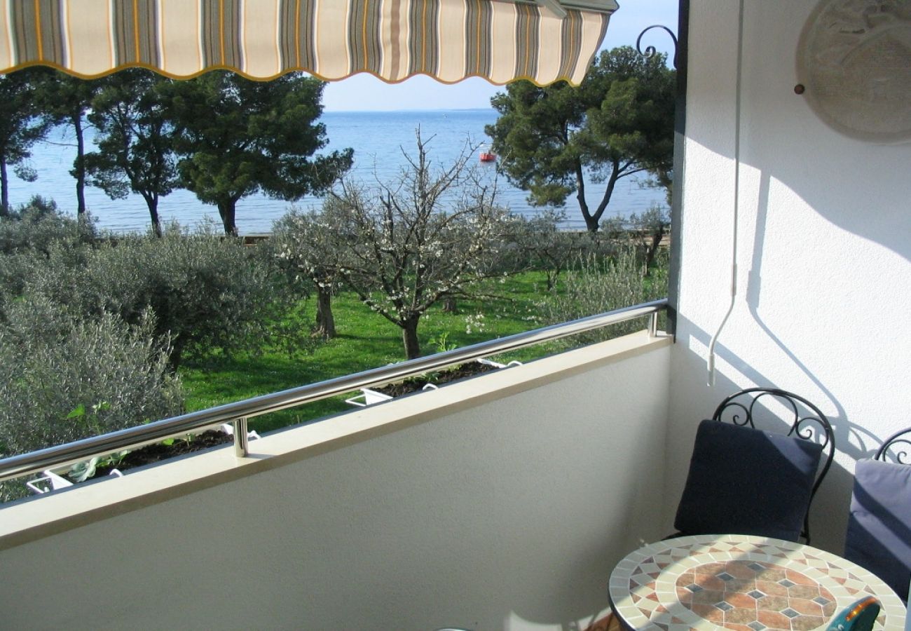 Ferienwohnung in Fažana - Ferienwohnung in Fažana mit Meerblick, Balkon, Klimaanlage, W-LAN (227-1)