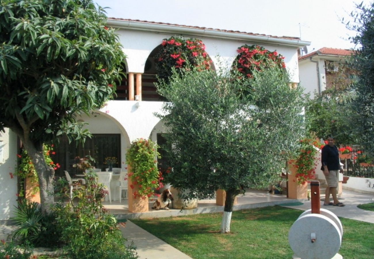 Ferienwohnung in Fažana - Ferienwohnung in Fažana mit Balkon, Klimaanlage, W-LAN, Waschmaschine (229-1)