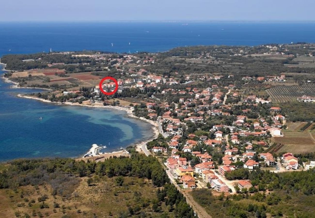 Ferienwohnung in Umag - Ferienwohnung in Umag mit Meerblick, Balkon, Klimaanlage, W-LAN (235-1)