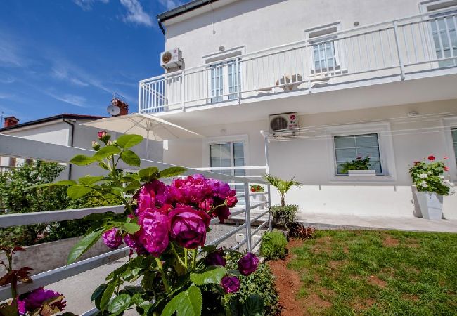 Ferienwohnung in Rovinj - Ferienwohnung in Rovinj mit Balkon, Klimaanlage, W-LAN (230-1) Ferienwohnung in Rovinj - Ferienwohnung in Rovinj mit Balkon, Klimaanlage, W-LAN (230-1)