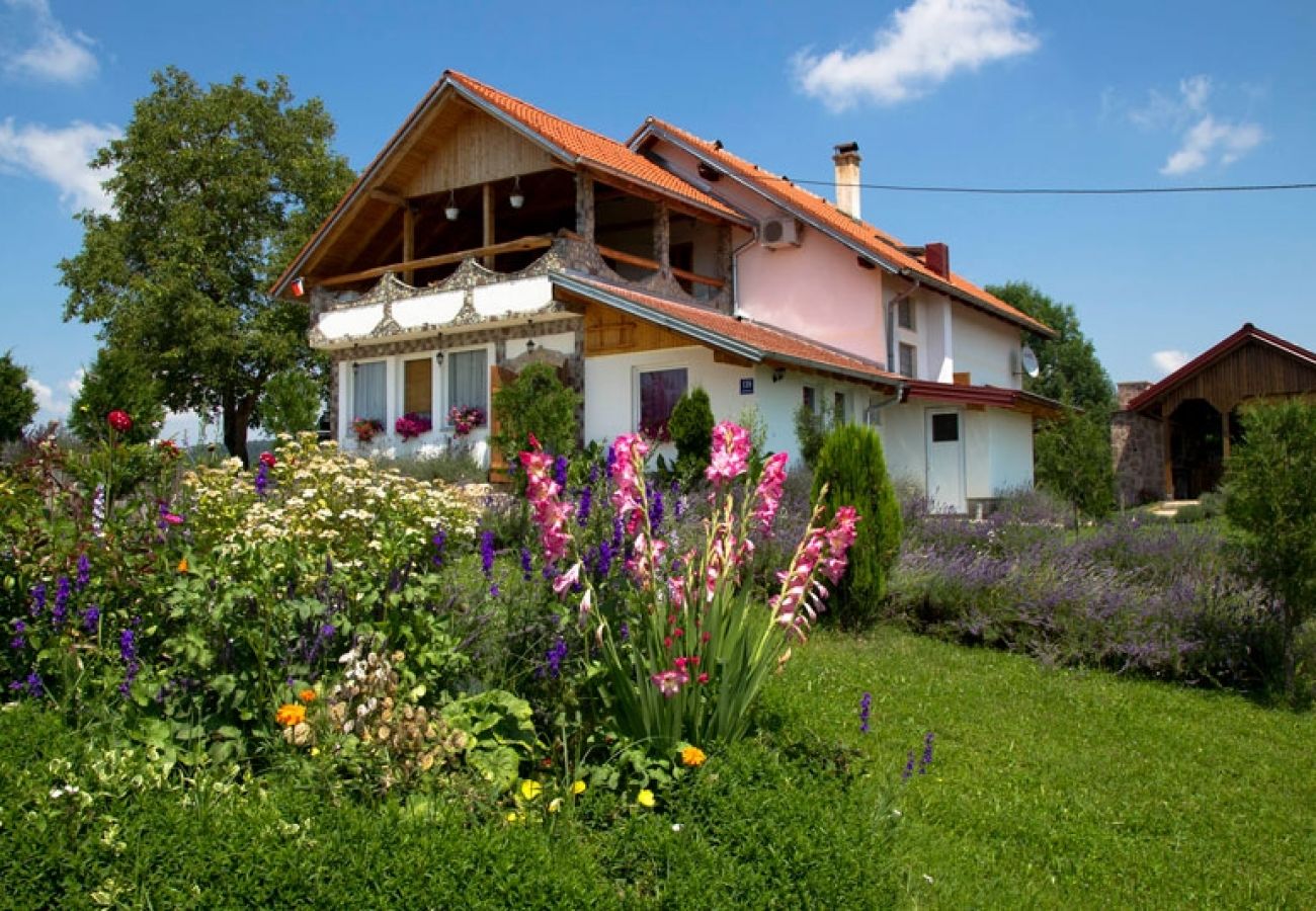 Ferienwohnung in Rakovica - Ferienwohnung in Rakovica mit Terrasse, Klimaanlage, W-LAN (601-1)