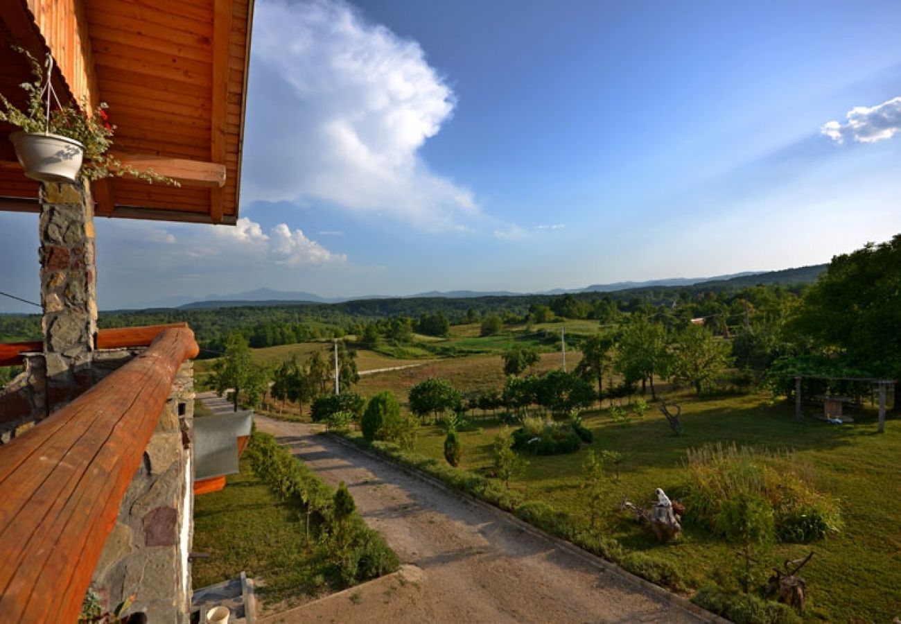 Ferienwohnung in Rakovica - Ferienwohnung in Rakovica mit Terrasse, Klimaanlage, W-LAN (601-1)