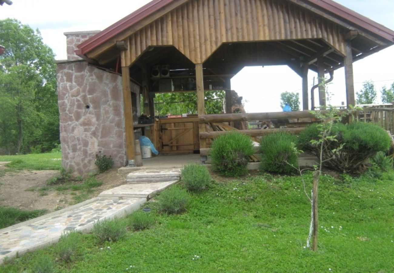 Ferienwohnung in Rakovica - Ferienwohnung in Rakovica mit Terrasse, Klimaanlage, W-LAN (601-1)