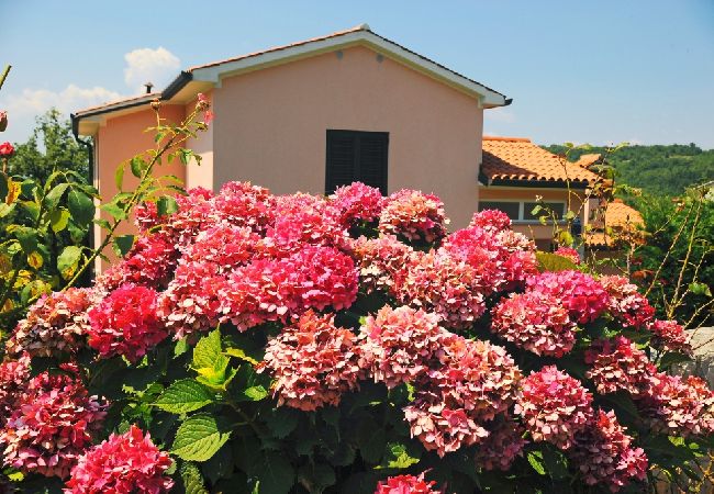 Ferienhaus in Ripenda Kras - Ferienhaus in Ripenda Kras mit Loggia, Klimaanlage, W-LAN, Waschmaschine (676-1) Ferienhaus in Ripenda Kras - Ferienhaus in Ripenda Kras mit Loggia, Klimaanlage, W-LAN, Waschmaschine (676-1)