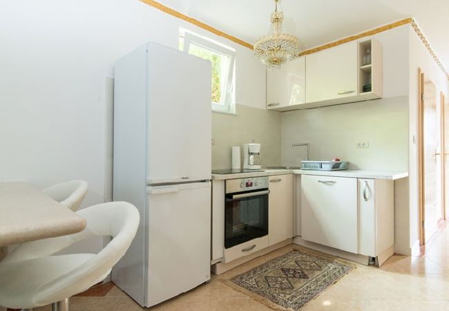 Ferienhaus in Savudrija - Ferienhaus in Savudrija mit Terrasse, Klimaanlage, W-LAN, Waschmaschine (123-11) Ferienhaus in Savudrija - Ferienhaus in Savudrija mit Terrasse, Klimaanlage, W-LAN, Waschmaschine (123-11)