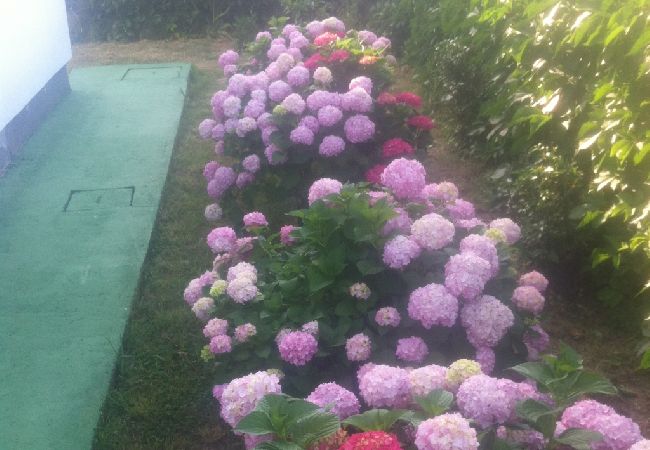 Ferienwohnung in Lopar - Ferienwohnung in Lopar mit Terrasse, Klimaanlage, W-LAN (568-1) Ferienwohnung in Lopar - Ferienwohnung in Lopar mit Terrasse, Klimaanlage, W-LAN (568-1)