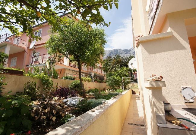 Ferienwohnung in Orebic - Ferienwohnung in Orebić mit Meerblick, Terrasse, Klimaanlage, W-LAN (829-1) Ferienwohnung in Orebic - Ferienwohnung in Orebić mit Meerblick, Terrasse, Klimaanlage, W-LAN (829-1)