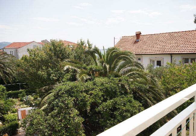 Ferienwohnung in Orebic - Ferienwohnung in Orebić mit Meerblick, Terrasse, Klimaanlage, W-LAN (829-3) Ferienwohnung in Orebic - Ferienwohnung in Orebić mit Meerblick, Terrasse, Klimaanlage, W-LAN (829-3)