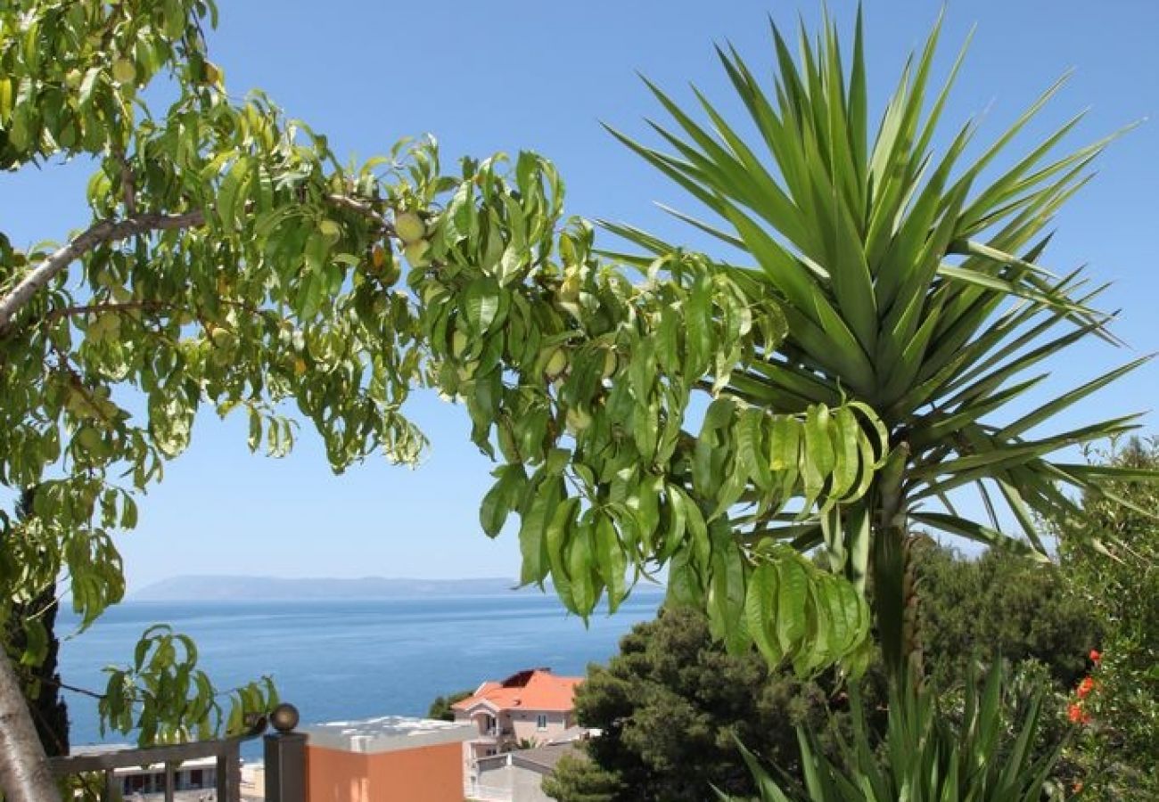 Ferienwohnung in Podgora - Ferienwohnung in Podgora mit Meerblick, Terrasse, Klimaanlage, W-LAN (849-1)