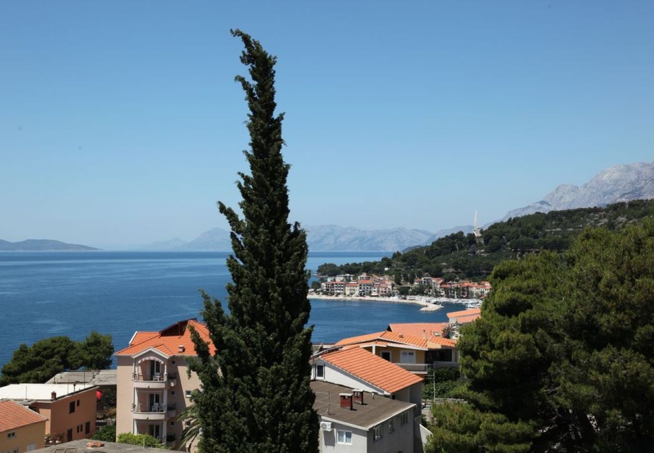 Ferienwohnung in Podgora - Ferienwohnung in Podgora mit Meerblick, Terrasse, Klimaanlage, W-LAN (849-1)