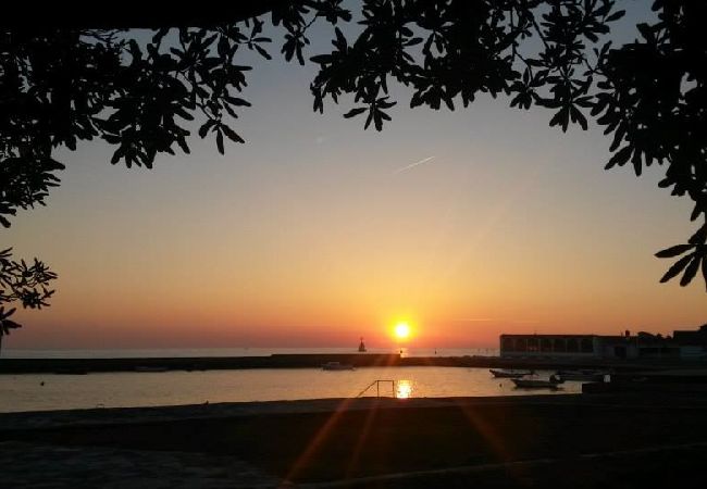 Ferienwohnung in Umag - Ferienwohnung in Umag mit W-LAN, Waschmaschine (853-1) Ferienwohnung in Umag - Ferienwohnung in Umag mit W-LAN, Waschmaschine (853-1)