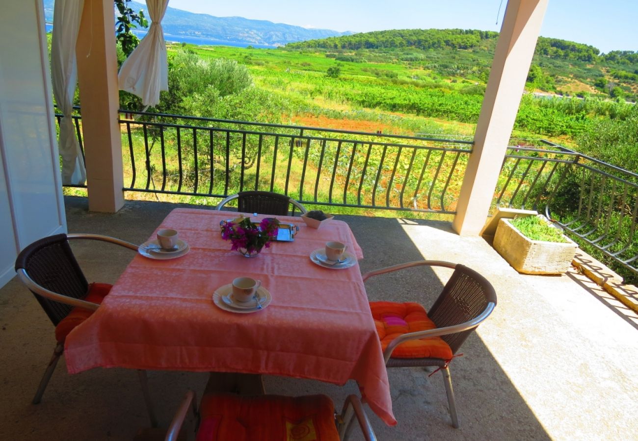 Ferienwohnung in Lumbarda - Ferienwohnung in Lumbarda mit Meerblick, Terrasse, Klimaanlage, W-LAN (856-2)