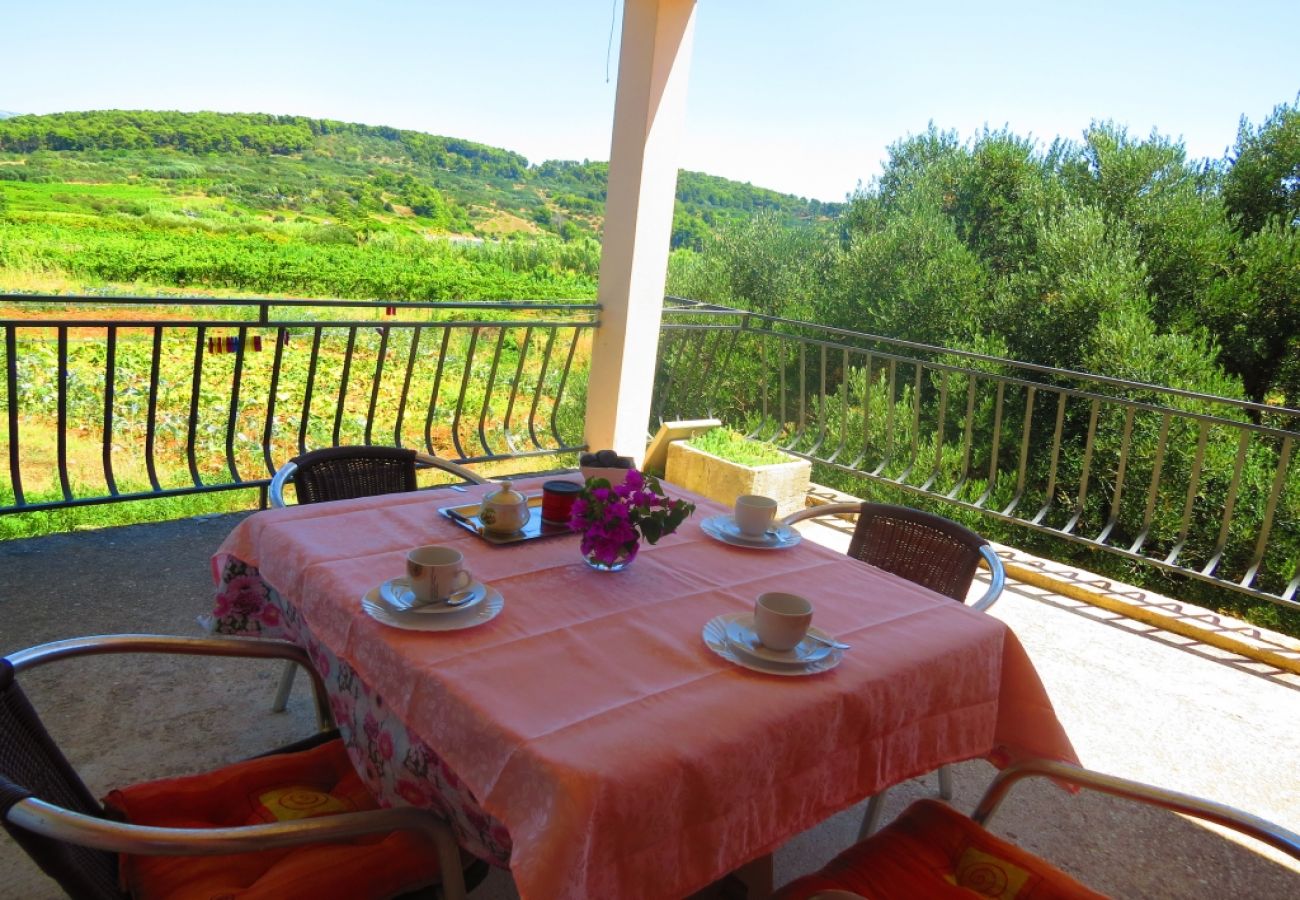 Ferienwohnung in Lumbarda - Ferienwohnung in Lumbarda mit Meerblick, Terrasse, Klimaanlage, W-LAN (856-2)