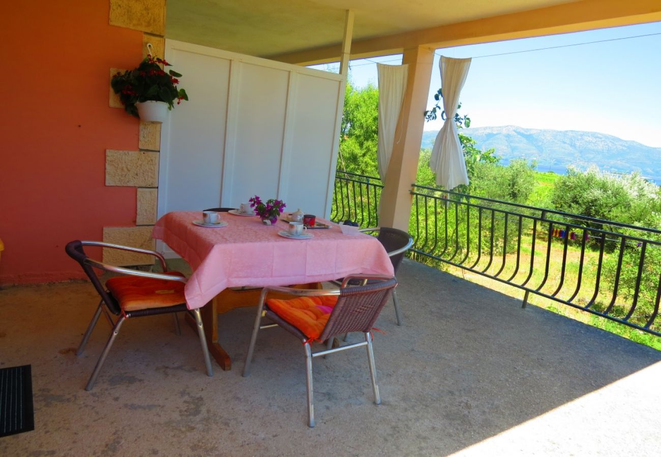 Ferienwohnung in Lumbarda - Ferienwohnung in Lumbarda mit Meerblick, Terrasse, Klimaanlage, W-LAN (856-2)