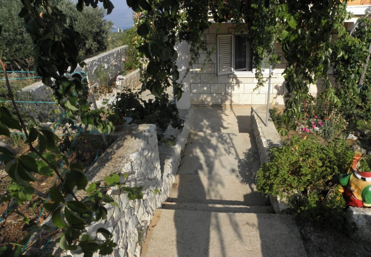 Ferienwohnung in Lumbarda - Ferienwohnung in Lumbarda mit Meerblick, Terrasse, Klimaanlage, W-LAN (856-2)