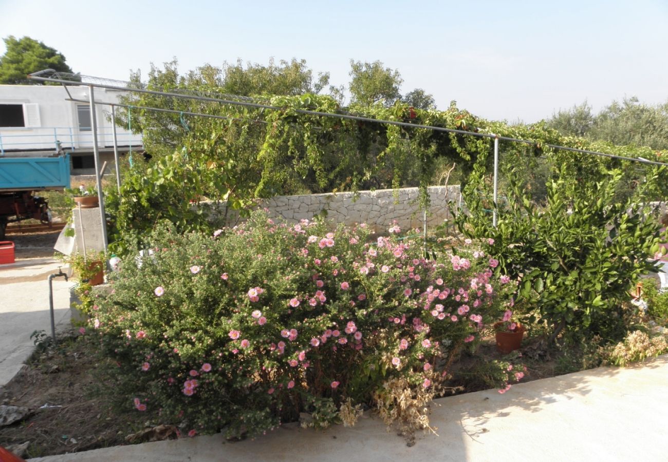 Ferienwohnung in Lumbarda - Ferienwohnung in Lumbarda mit Meerblick, Terrasse, Klimaanlage, W-LAN (856-2)