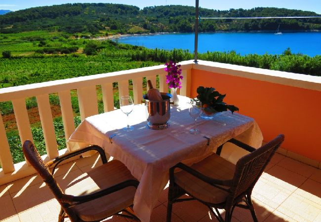 Ferienwohnung in Lumbarda - Ferienwohnung in Lumbarda mit Meerblick, Terrasse, Klimaanlage, W-LAN (856-3) Ferienwohnung in Lumbarda - Ferienwohnung in Lumbarda mit Meerblick, Terrasse, Klimaanlage, W-LAN (856-3)