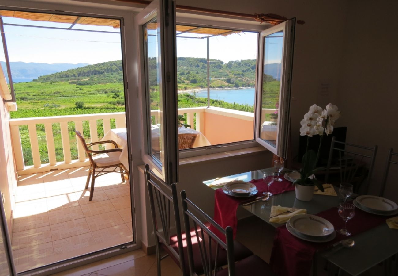 Ferienwohnung in Lumbarda - Ferienwohnung in Lumbarda mit Meerblick, Terrasse, Klimaanlage, W-LAN (856-3)