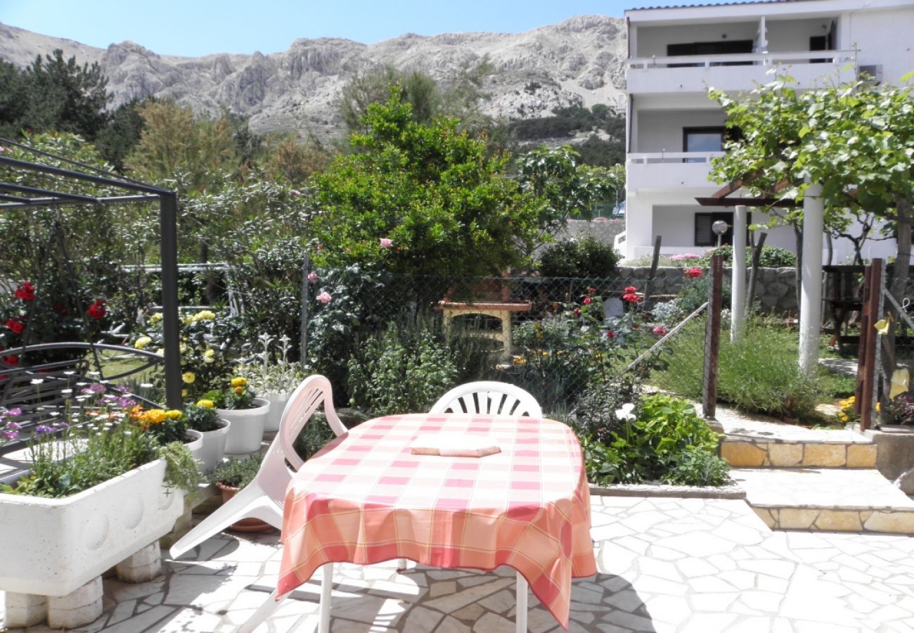 Ferienwohnung in Baška - Ferienwohnung in Baška mit Meerblick, Terrasse, Klimaanlage, W-LAN (863-2)