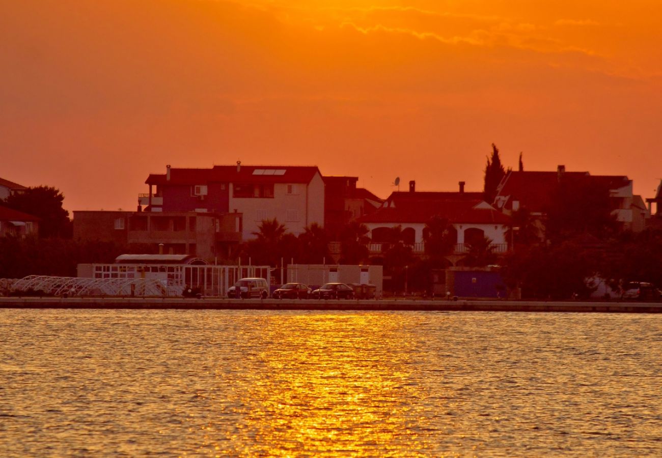 Ferienwohnung in Bibinje - Ferienwohnung in Bibinje mit Meerblick, Balkon, Klimaanlage, W-LAN (868-1)