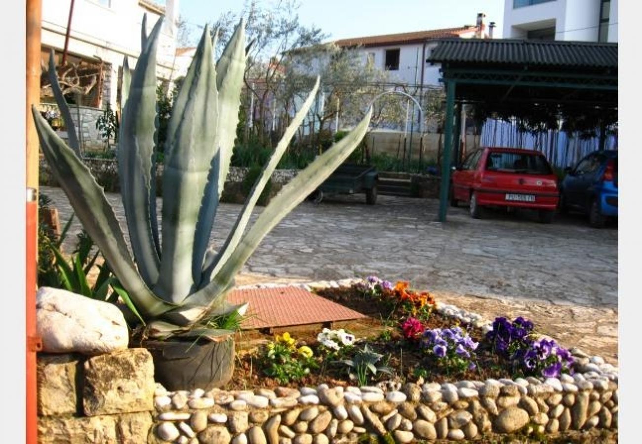 Ferienwohnung in Rovinj - Ferienwohnung in Rovinj mit Terrasse, Klimaanlage, W-LAN, Waschmaschine (870-1)