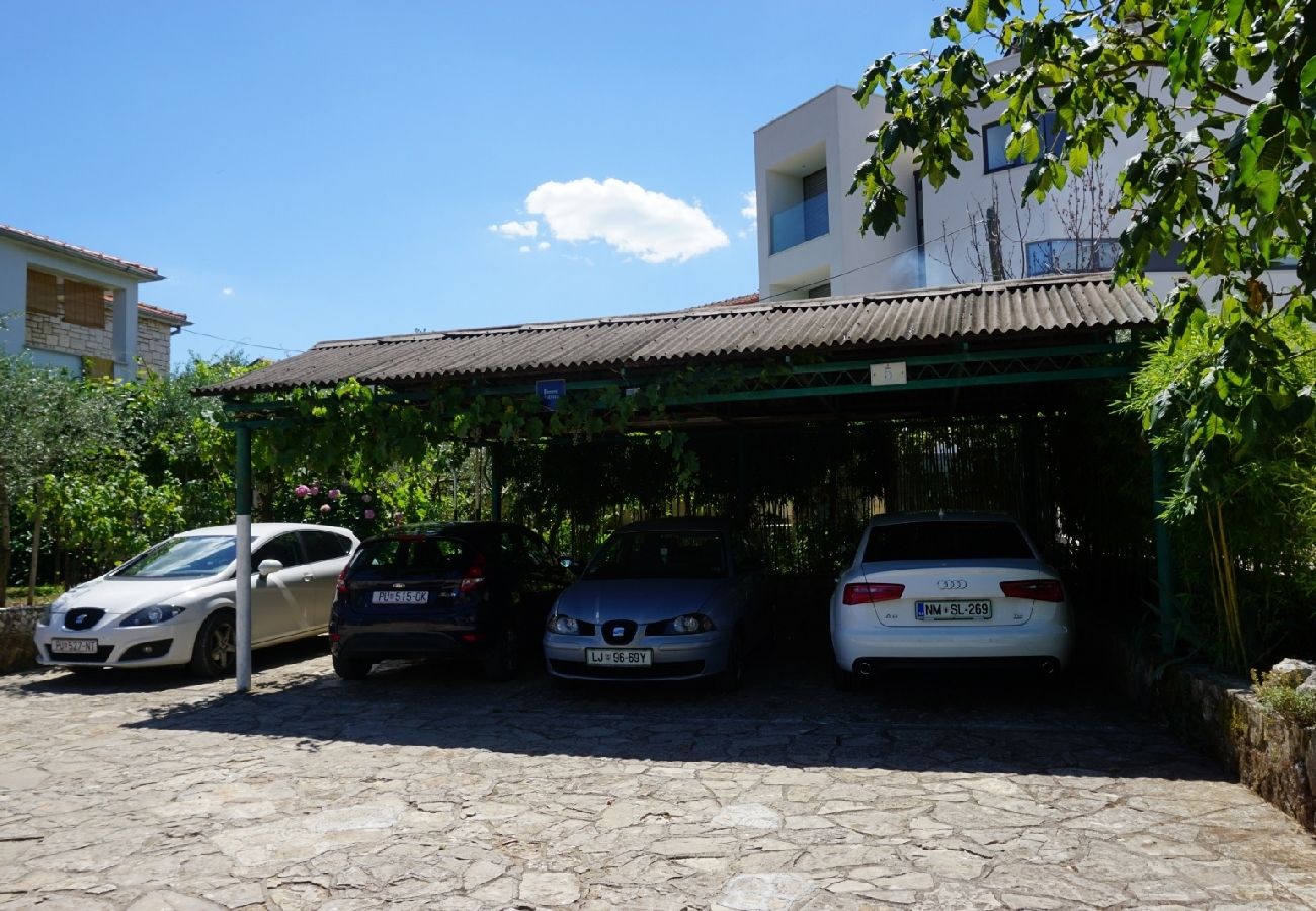 Ferienwohnung in Rovinj - Ferienwohnung in Rovinj mit Terrasse, Klimaanlage, W-LAN, Waschmaschine (870-1)