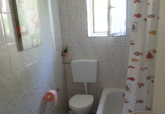 Ferienwohnung in Privlaka - Ferienwohnung in Sabunike mit Terrasse, Klimaanlage, W-LAN, Waschmaschine (231-1) Ferienwohnung in Privlaka - Ferienwohnung in Sabunike mit Terrasse, Klimaanlage, W-LAN, Waschmaschine (231-1)