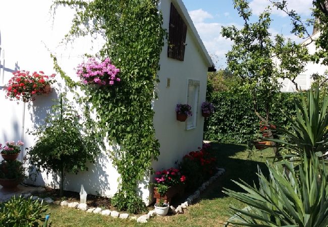 Ferienwohnung in Privlaka - Ferienwohnung in Sabunike mit Terrasse, Klimaanlage, W-LAN, Waschmaschine (231-1) Ferienwohnung in Privlaka - Ferienwohnung in Sabunike mit Terrasse, Klimaanlage, W-LAN, Waschmaschine (231-1)