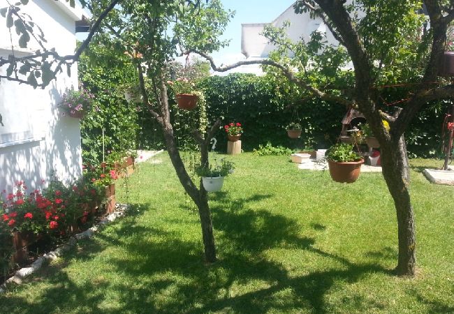 Ferienwohnung in Privlaka - Ferienwohnung in Sabunike mit Terrasse, Klimaanlage, W-LAN, Waschmaschine (231-1) Ferienwohnung in Privlaka - Ferienwohnung in Sabunike mit Terrasse, Klimaanlage, W-LAN, Waschmaschine (231-1)