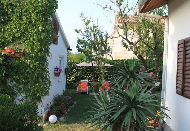 Ferienwohnung in Privlaka - Ferienwohnung in Sabunike mit Terrasse, Klimaanlage, W-LAN, Waschmaschine (231-1) Ferienwohnung in Privlaka - Ferienwohnung in Sabunike mit Terrasse, Klimaanlage, W-LAN, Waschmaschine (231-1)