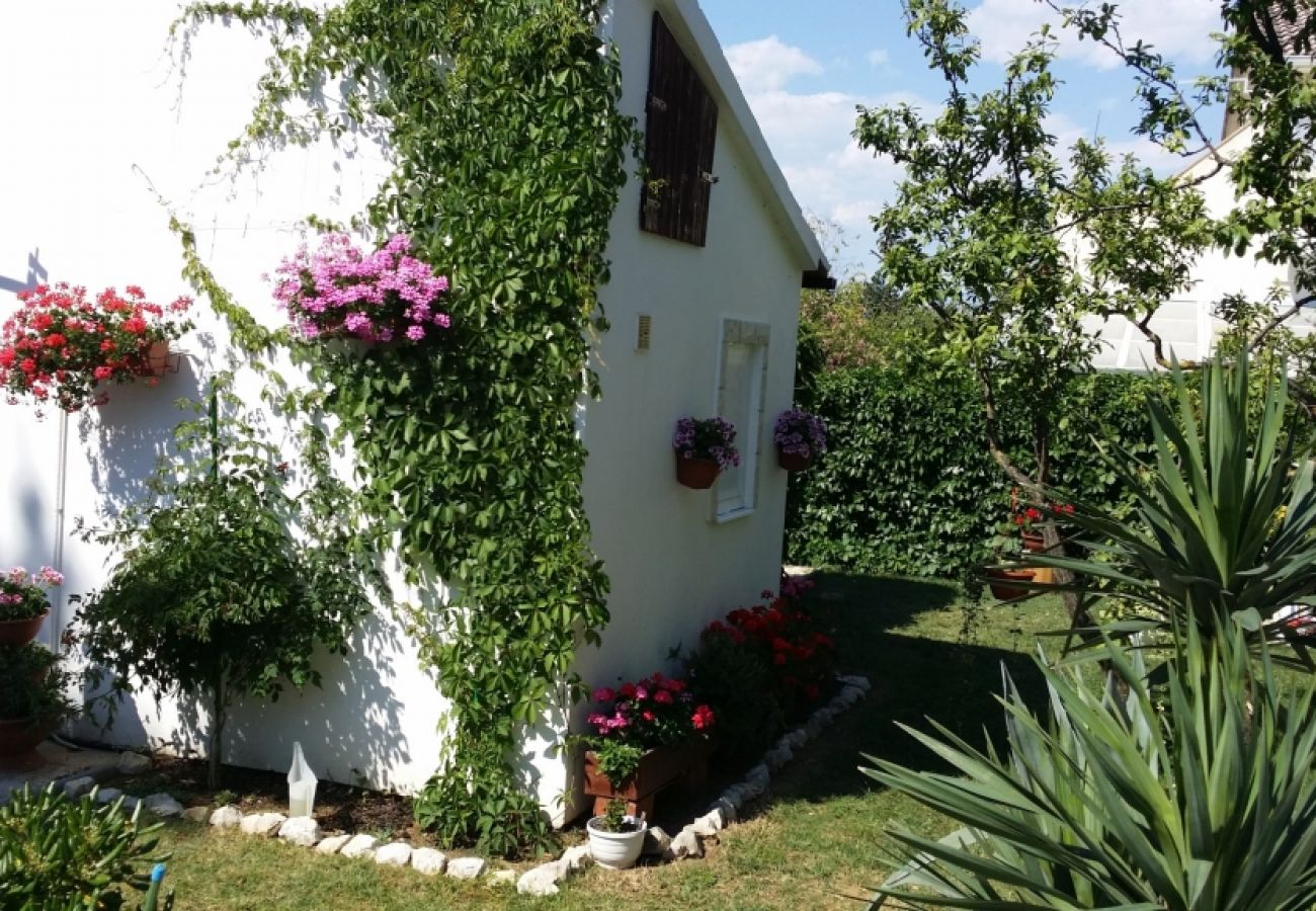 Ferienwohnung in Privlaka - Ferienwohnung in Sabunike mit Terrasse, Klimaanlage, W-LAN, Waschmaschine (231-1)