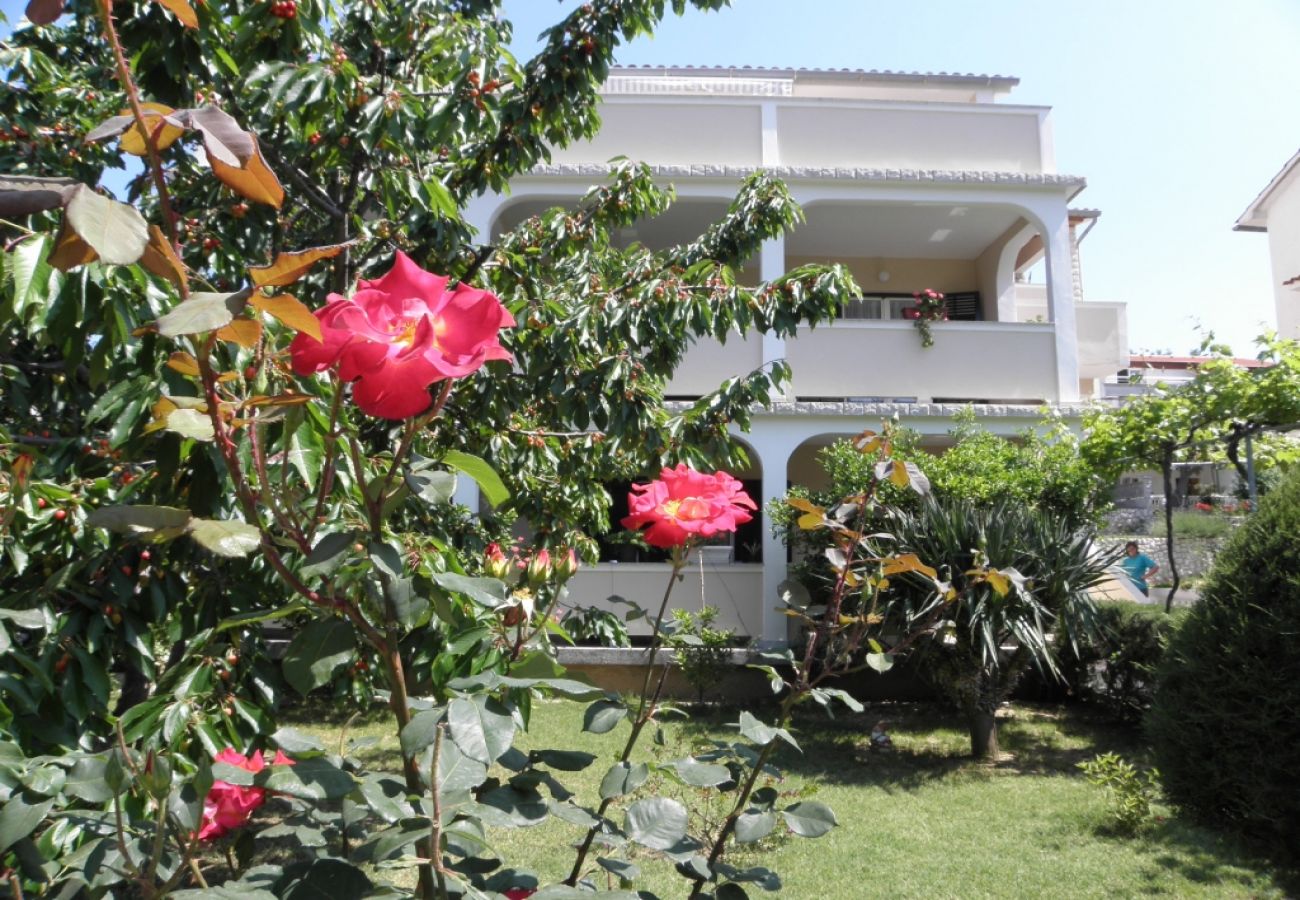 Ferienwohnung in Lopar - Ferienwohnung in Lopar mit Terrasse, Klimaanlage, W-LAN, Waschmaschine (893-2)