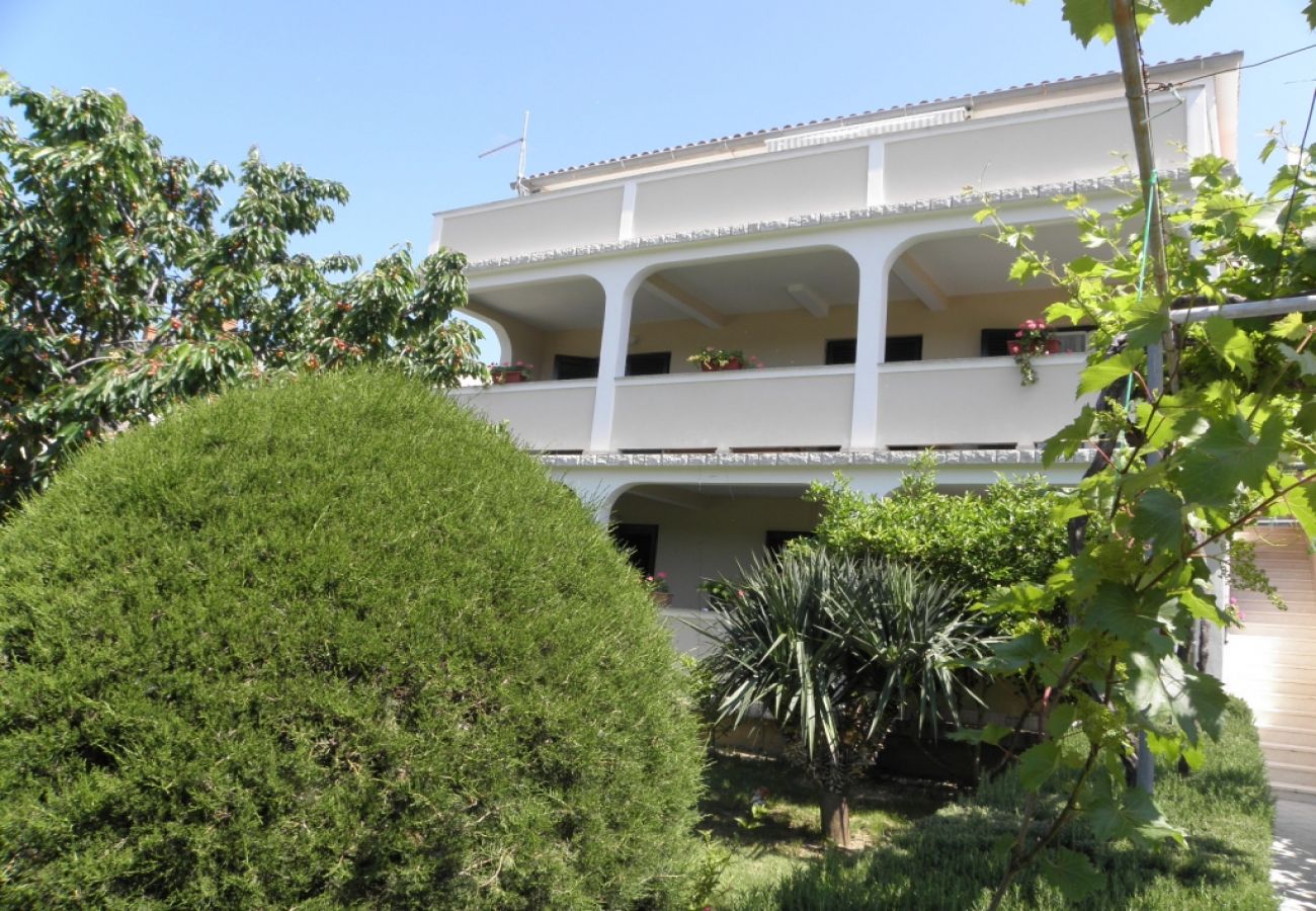 Ferienwohnung in Lopar - Ferienwohnung in Lopar mit Terrasse, Klimaanlage, W-LAN, Waschmaschine (893-2)